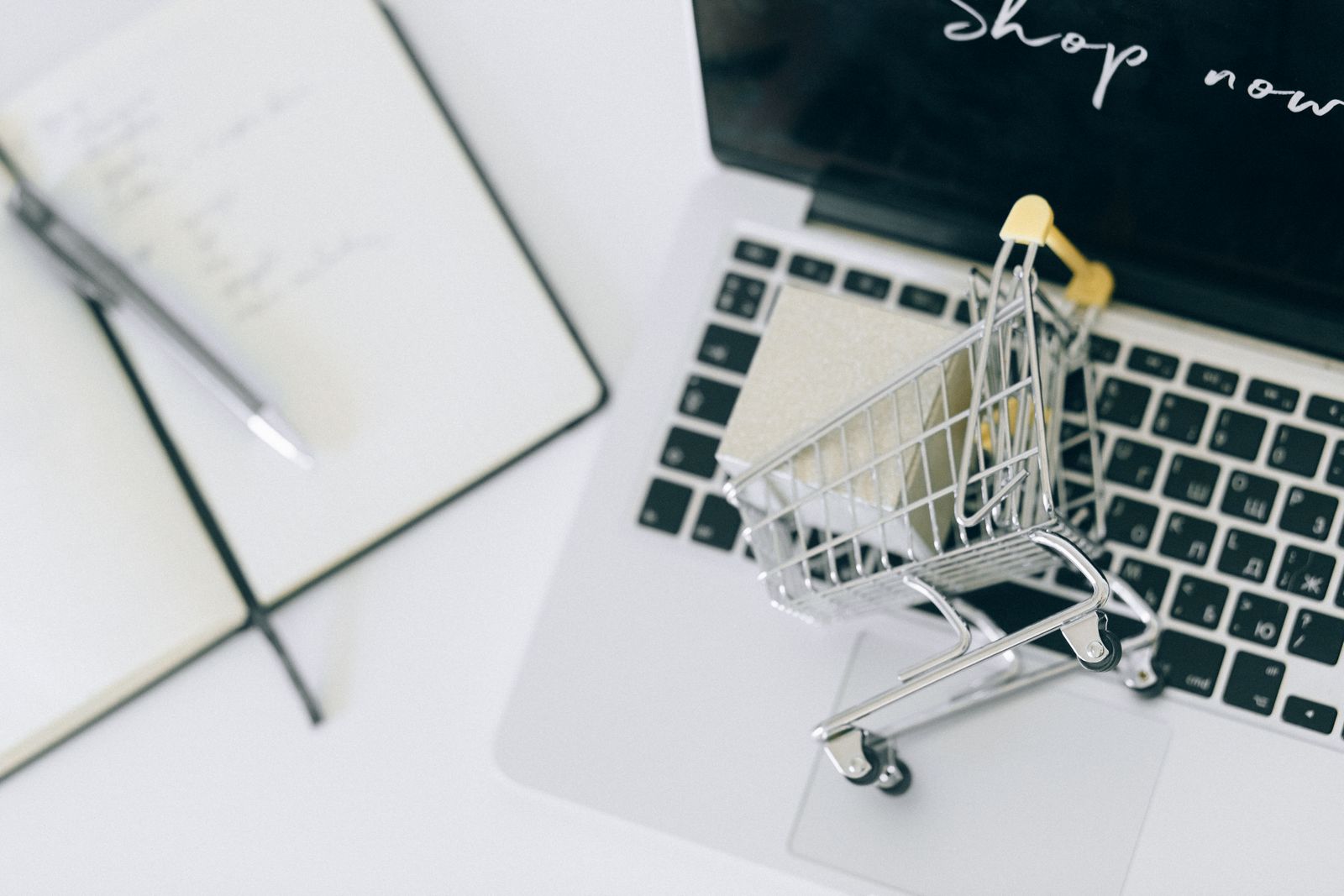 Pozycjonowanie sklepów internetowych – IdeaNOW